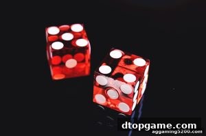 AG真人 dtopgame